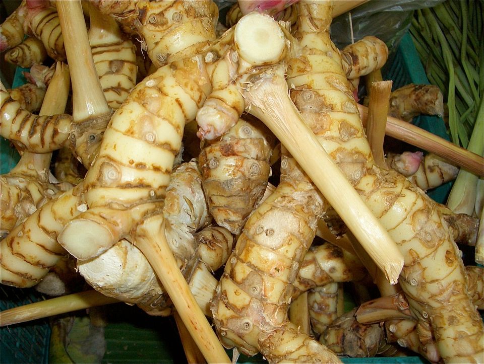 Củ riềng tươi