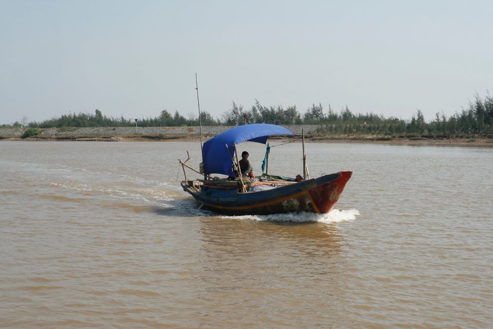 Một chiếc thuyền gỗ che bạt xanh chạy trên mặt sông nước đục, bờ bên kia là đê kè và hàng phi lao